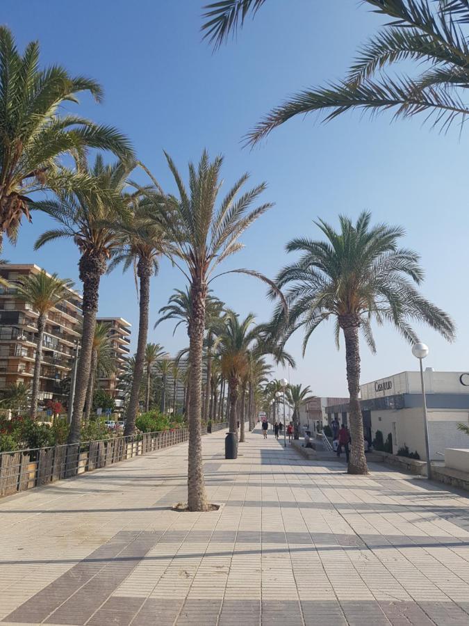 Exclusif Appartement En 1Er Ligne, Vue Imprenable, Piscine, Parking Prive A Playa Mucha Vista, Alicante El Campello Εξωτερικό φωτογραφία